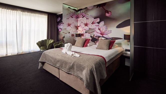 Suite 110 Van der Valk hotel Nuland - 's-Hertogenbosch